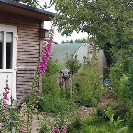 Fairschlafen - Gartenwohnung Bücken Eksteriør billede
