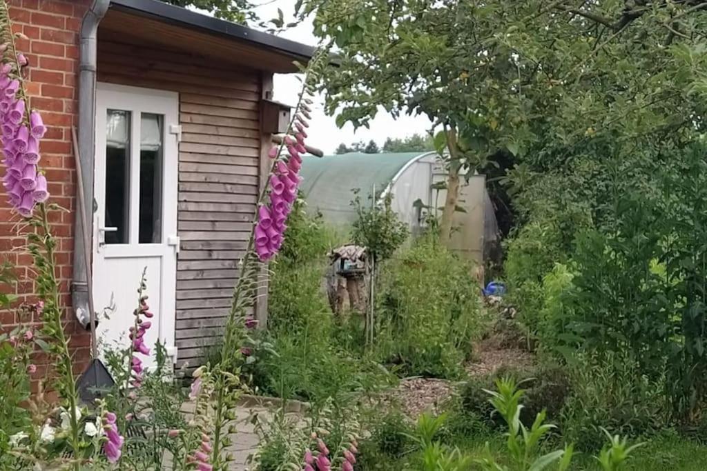 Fairschlafen - Gartenwohnung Bücken Eksteriør billede