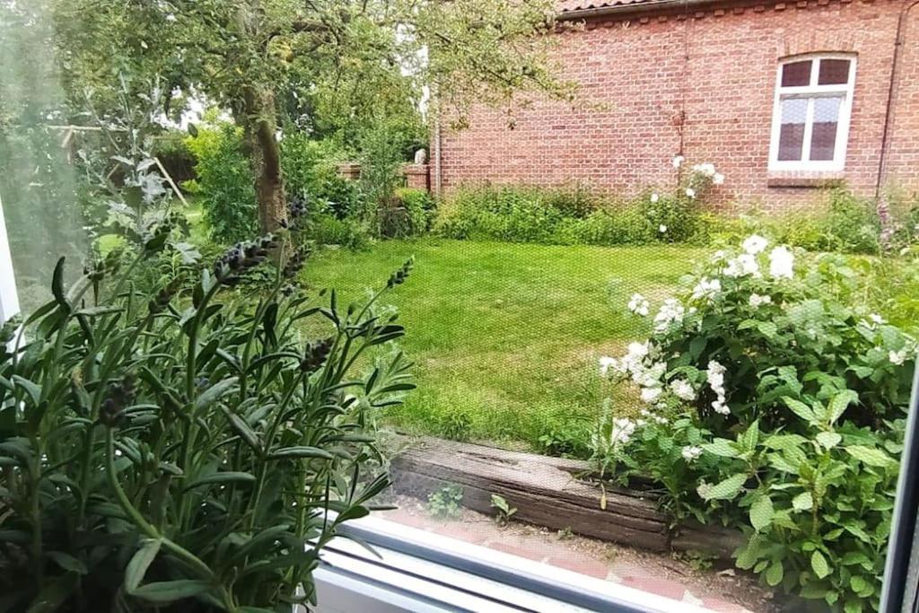 Fairschlafen - Gartenwohnung Bücken Eksteriør billede